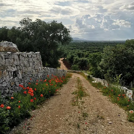 La Posta Dell'eremo * Ostuni