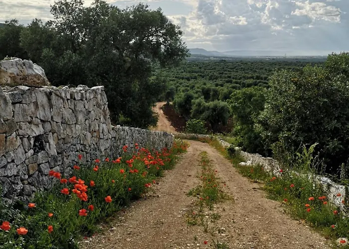 La Posta Dell'eremo * Остуни